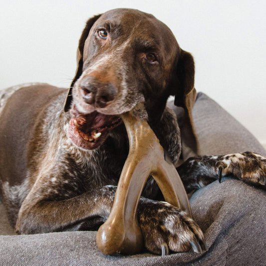 Pet Dog Bite Molar Rod Durable - MSSempire
